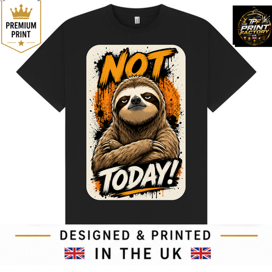 NOT TODAY T-SHIRT | INTROVERT HUMOR SHIRT | FREE SHIPPING