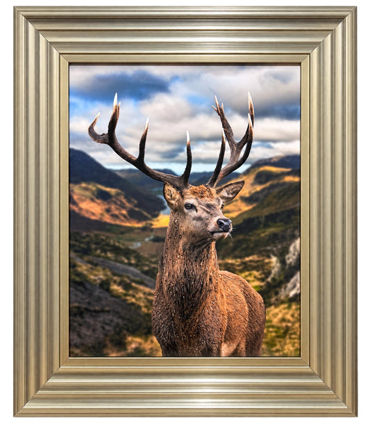 STAG DEER LIQUID ART 3D EFFECT FRAMED WALL PICTURE 65X55CM WILDLIFE HOME DECOR