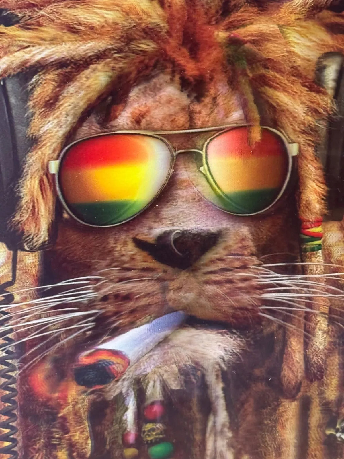 RASTA LION DREADLOCKED KING OF REGGAE IN SHADES 3D LIMITED EDITION FRAMED PICTURE UK STOCK